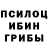 Галлюциногенные грибы ЛСД tipok gro