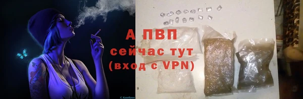 ПСИЛОЦИБИНОВЫЕ ГРИБЫ Богданович
