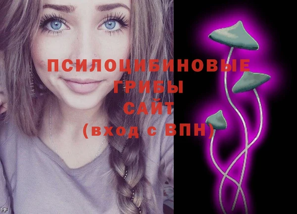 метадон Беломорск