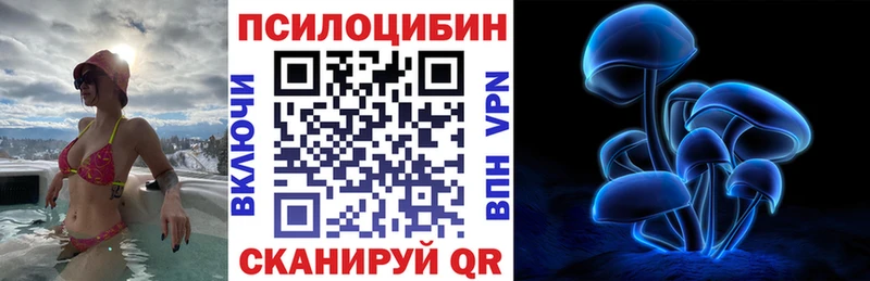 Галлюциногенные грибы Psilocybine cubensis  Купить где  Старый Крым 